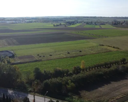 Działka budowlana Krasnystaw ul. Kościuszki 42,8ar