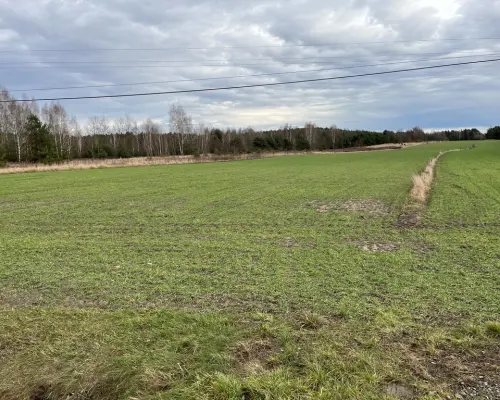 Duża działka inwestycyjna blisko Wisły w Kłudziu.