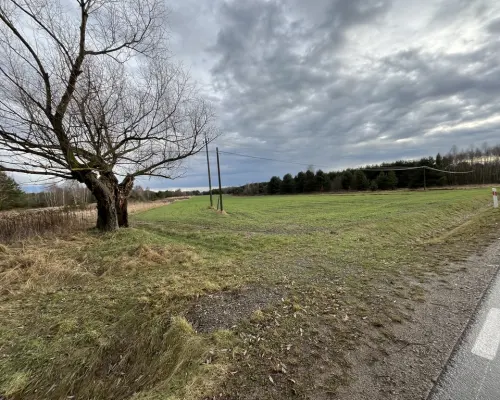 Duża działka inwestycyjna blisko Wisły w Kłudziu.