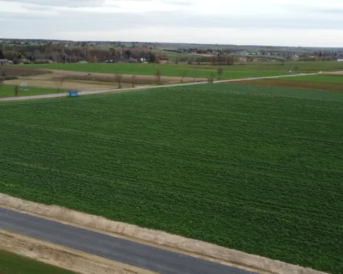 Działka, Zalesie, Wilkołaz, 11 ar, budowlana