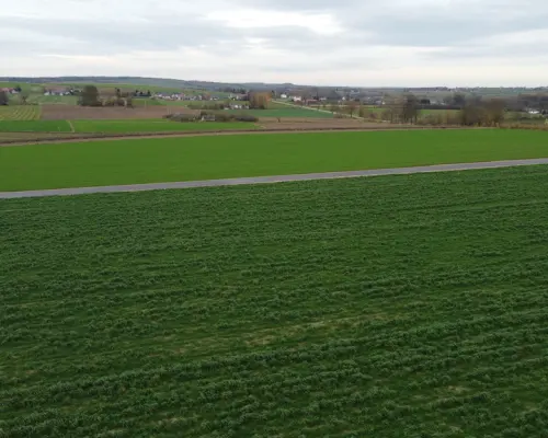 Działka, Zalesie, Wilkołaz, 11 ar, budowlana