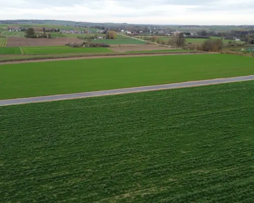 Działka, Zalesie, Wilkołaz, 11 ar, budowlana