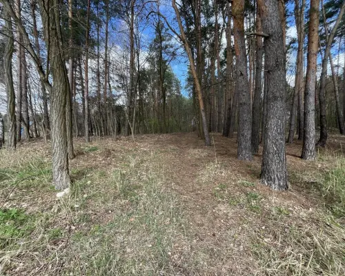 Atrakcyjna działka 2618 m2 w Oblasach-Księżę.