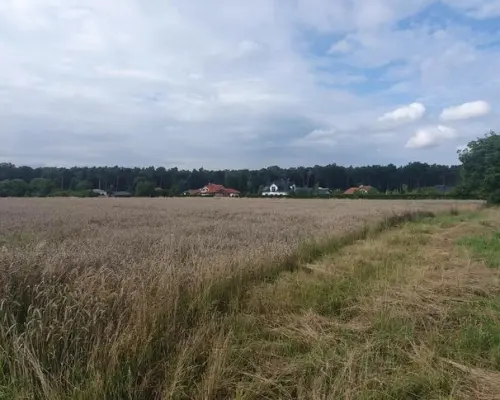 Piękna działka budowlana blisko lasu- 17ar-Świdnik