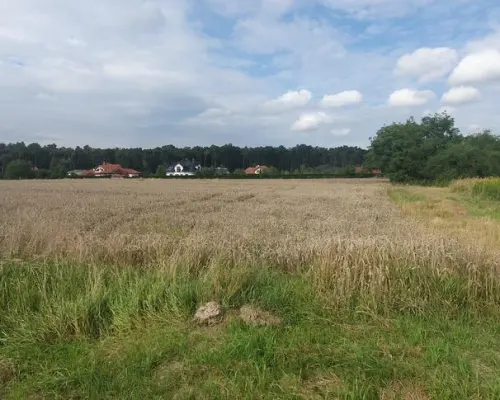 Piękna działka budowlana blisko lasu- 17ar-Świdnik