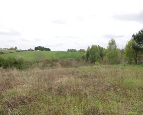 Duża działka rolna ok. 1 ha Jakubowice Konińskie