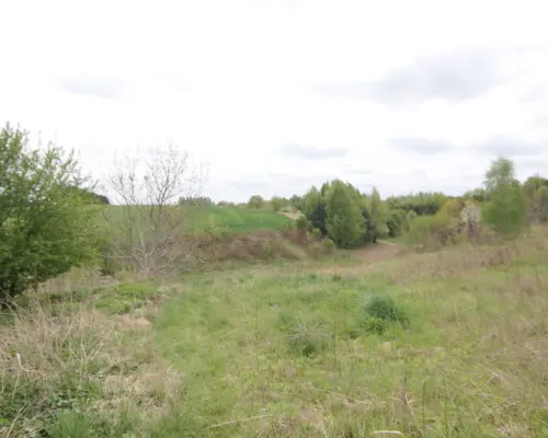 Duża działka rolna ok. 1 ha Jakubowice Konińskie