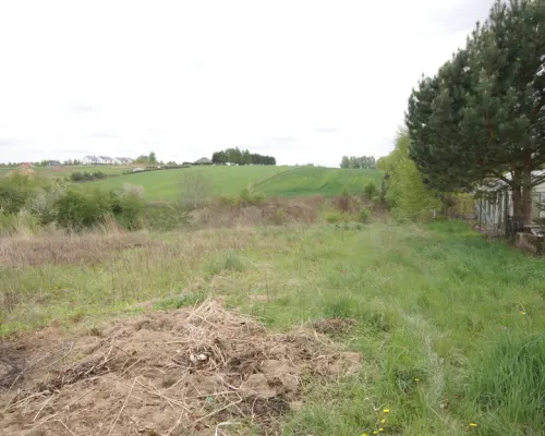 Duża działka rolna ok. 1 ha Jakubowice Konińskie