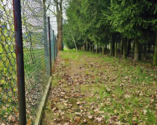 Dąbrowa - dom gotowy do zamieszkania blisko jezior