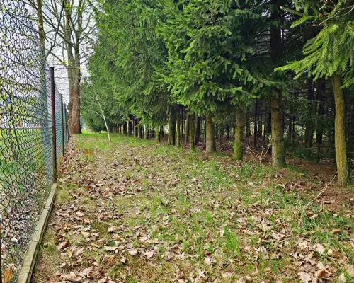Dąbrowa - dom gotowy do zamieszkania blisko jezior