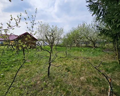 Dąbrowa - dom gotowy do zamieszkania blisko jezior