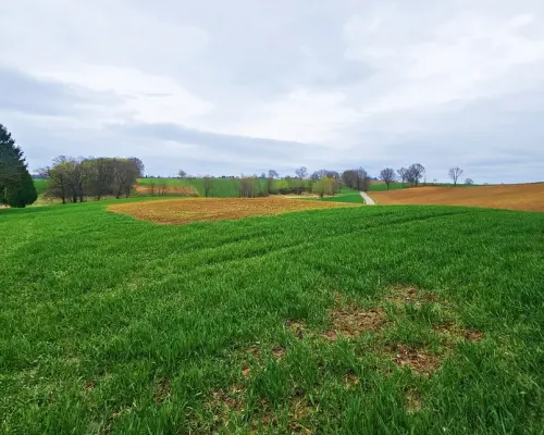Działka na wzgórzu z niepowtarzalnymi widokami