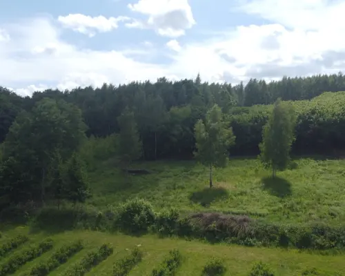 Działka 3580 m2 w Kazimierzu Dolnym 4 km od rynku.