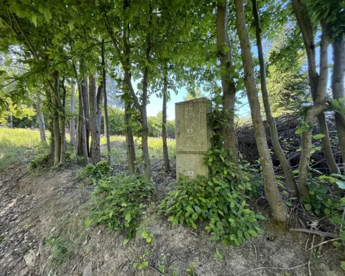 Działka 3580 m2 w Kazimierzu Dolnym 4 km od rynku.