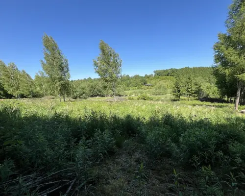 Działka 3580 m2 w Kazimierzu Dolnym 4 km od rynku.