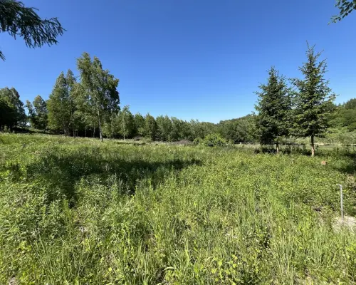 Działka 3580 m2 w Kazimierzu Dolnym 4 km od rynku.