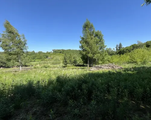 Działka 3580 m2 w Kazimierzu Dolnym 4 km od rynku.