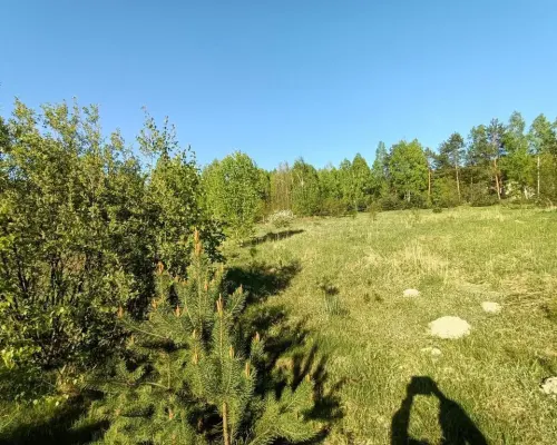 Dom na działce 4883 m2 z WZ w Gródku.