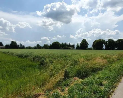 Piękna, duża działka w spokojnej okolicy - Pólko