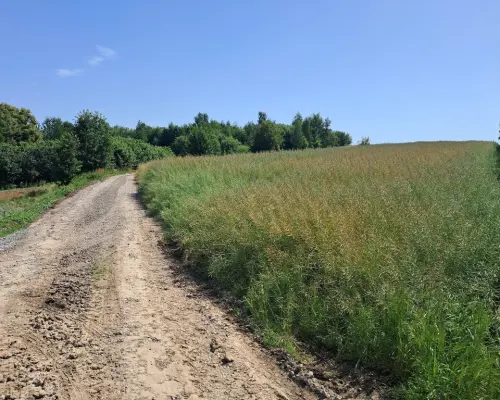 Gm. Rybczewice - Częstoborowice -siedlisko - 20ar