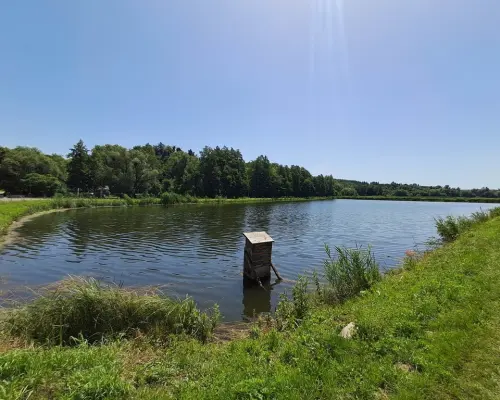 Gm. Rybczewice - Częstoborowice -siedlisko - 20ar