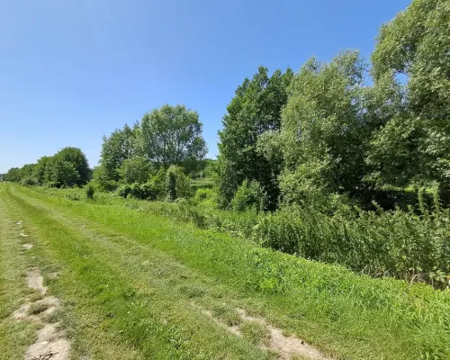 Gm. Rybczewice - Częstoborowice -siedlisko - 20ar