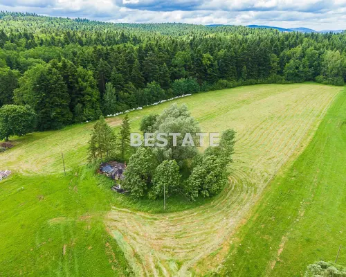 1,53 ha - Staszkówka