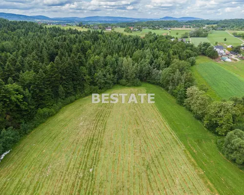 1,53 ha - Staszkówka