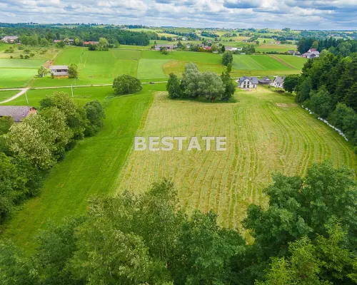 1,53 ha - Staszkówka