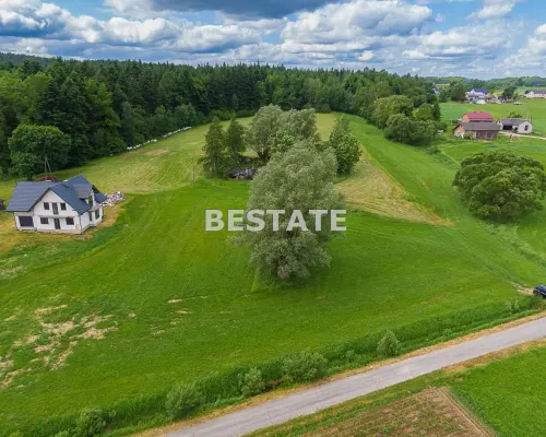 1,53 ha - Staszkówka