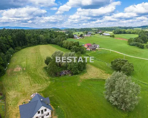 1,53 ha - Staszkówka