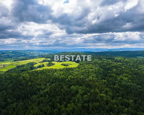 1,53 ha - Staszkówka