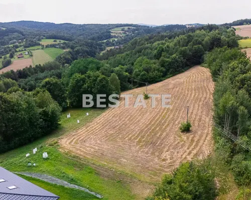 Działka budowlana, widokowa w Paleśnicy