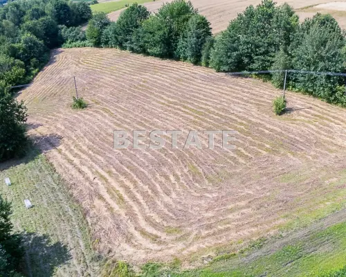Działka budowlana, widokowa w Paleśnicy