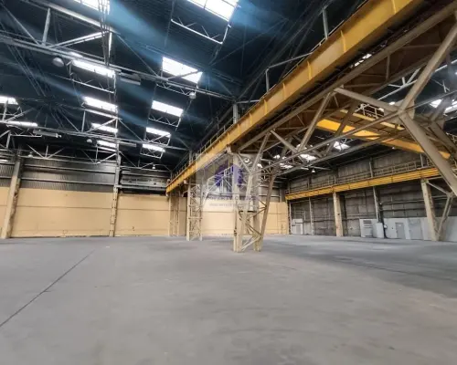 Bielany: magazyn 3005m2 do wynajęcia