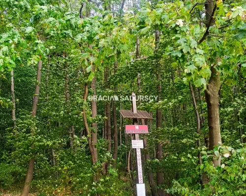 Nowy Dom | 25 arów | Duży Ogród | Garaż | Czajowic