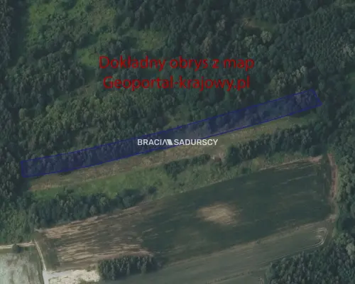 Bodzanów – działka pod dom i inwestycję