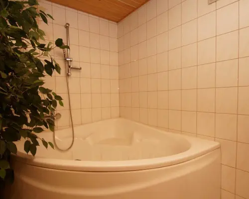 Dom z sauną i oranżerią, Jaroszówka