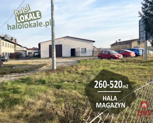 Budynek do wynajęcia  260-520 m2.