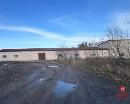 Budynek do wynajęcia  260-520 m2.