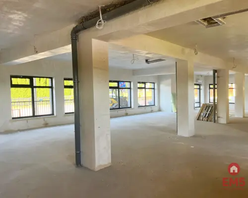 Nowe lokale do wynajęcia