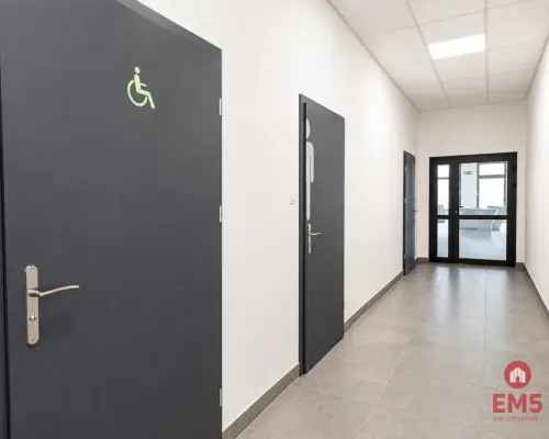 Lokal użytkowy 200 m2. Fitness, zajęcia ruchowe.