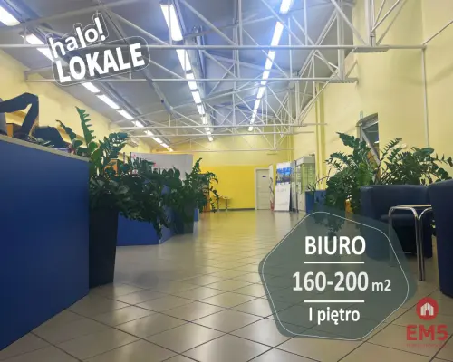 Powierzchnia biurowa 160-200 m2.
