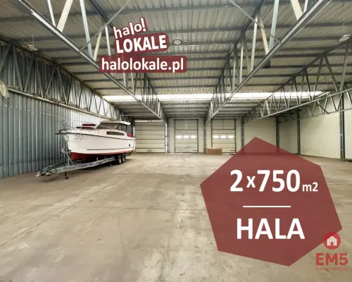 Hala, produkcja, magazyn