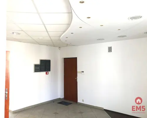 Ścisłe centrum 300 m2 parter plus piętro