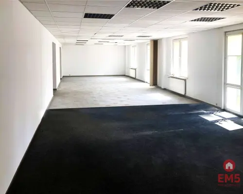 Ścisłe centrum 300 m2 parter plus piętro
