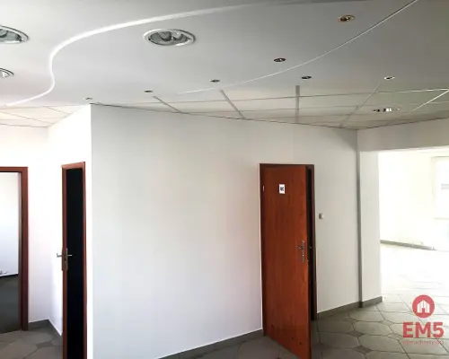 Ścisłe centrum 300 m2 parter plus piętro