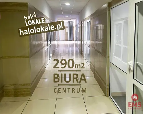 Powierzchnie biurowe 290 m2 Centrum
