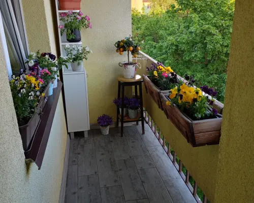 Mieszkanie w centrum Augustowa