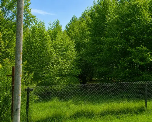 Działka rolna z WZ, 4900 m2, gmina Narew